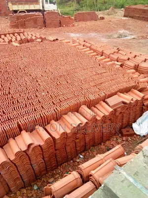 Portuguese Roof Top(Clay Roof Tiles)