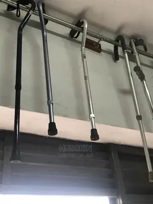USA  Walking Stick Extendable