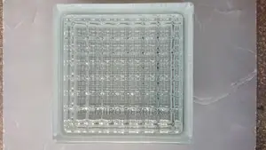 Glass Blocks