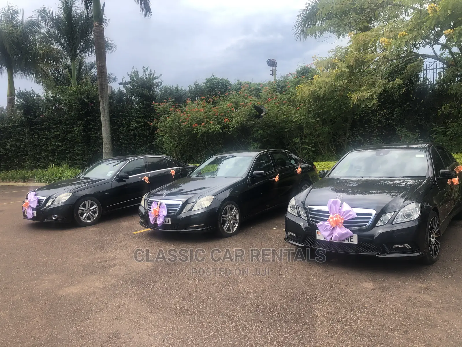 Mercedes Benzes E Classes New Model for Hire