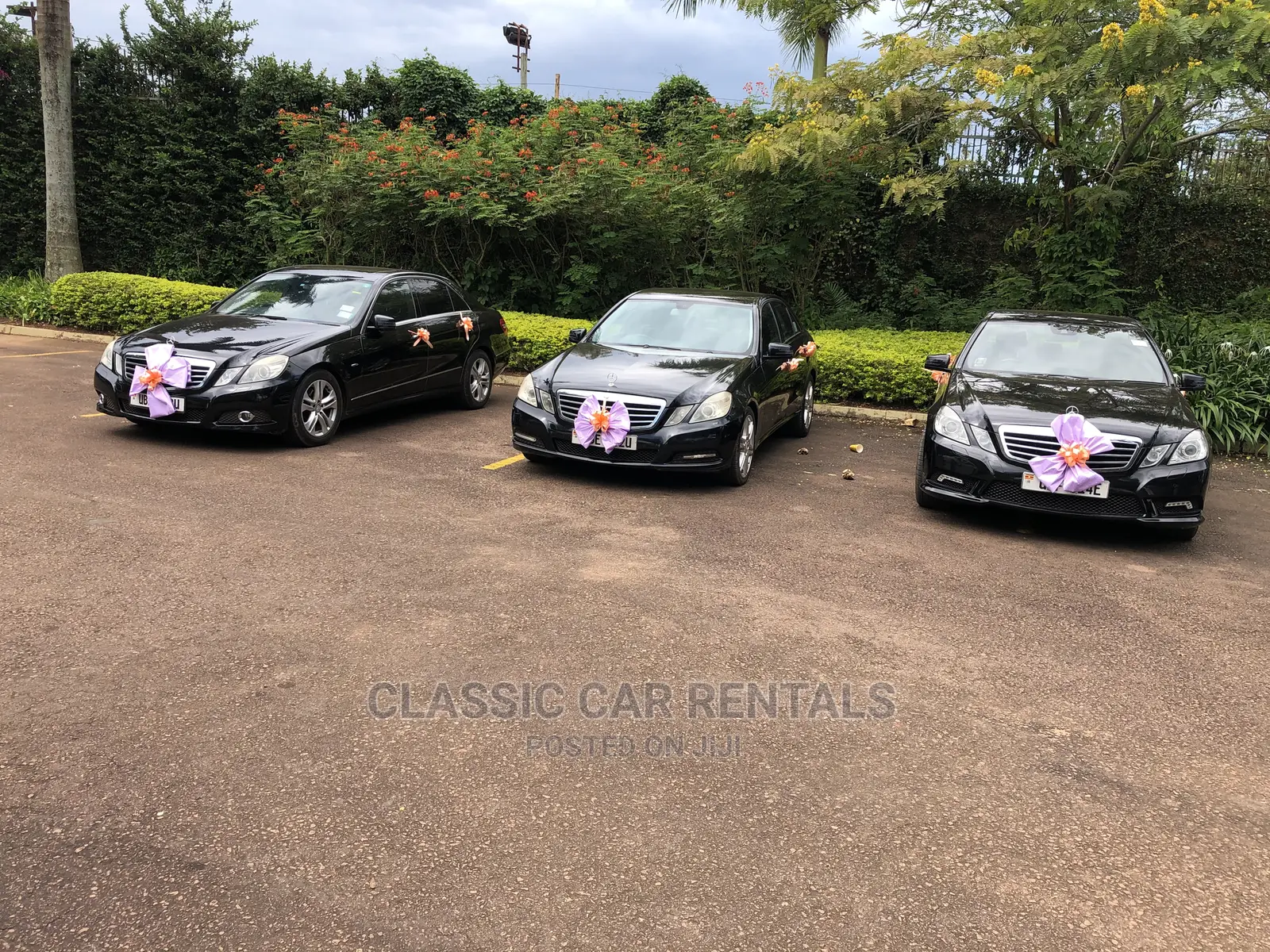Mercedes Benzes E Classes New Model for Hire