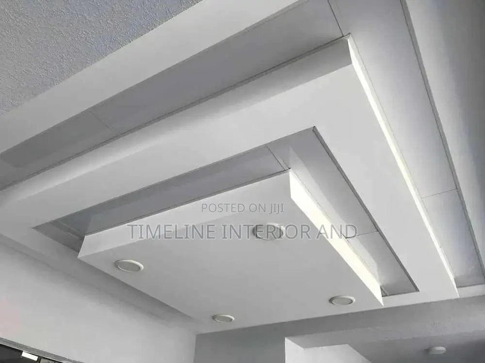 Gypsum Ceilings and More.