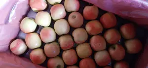 Pink Lady Wholesale Apples