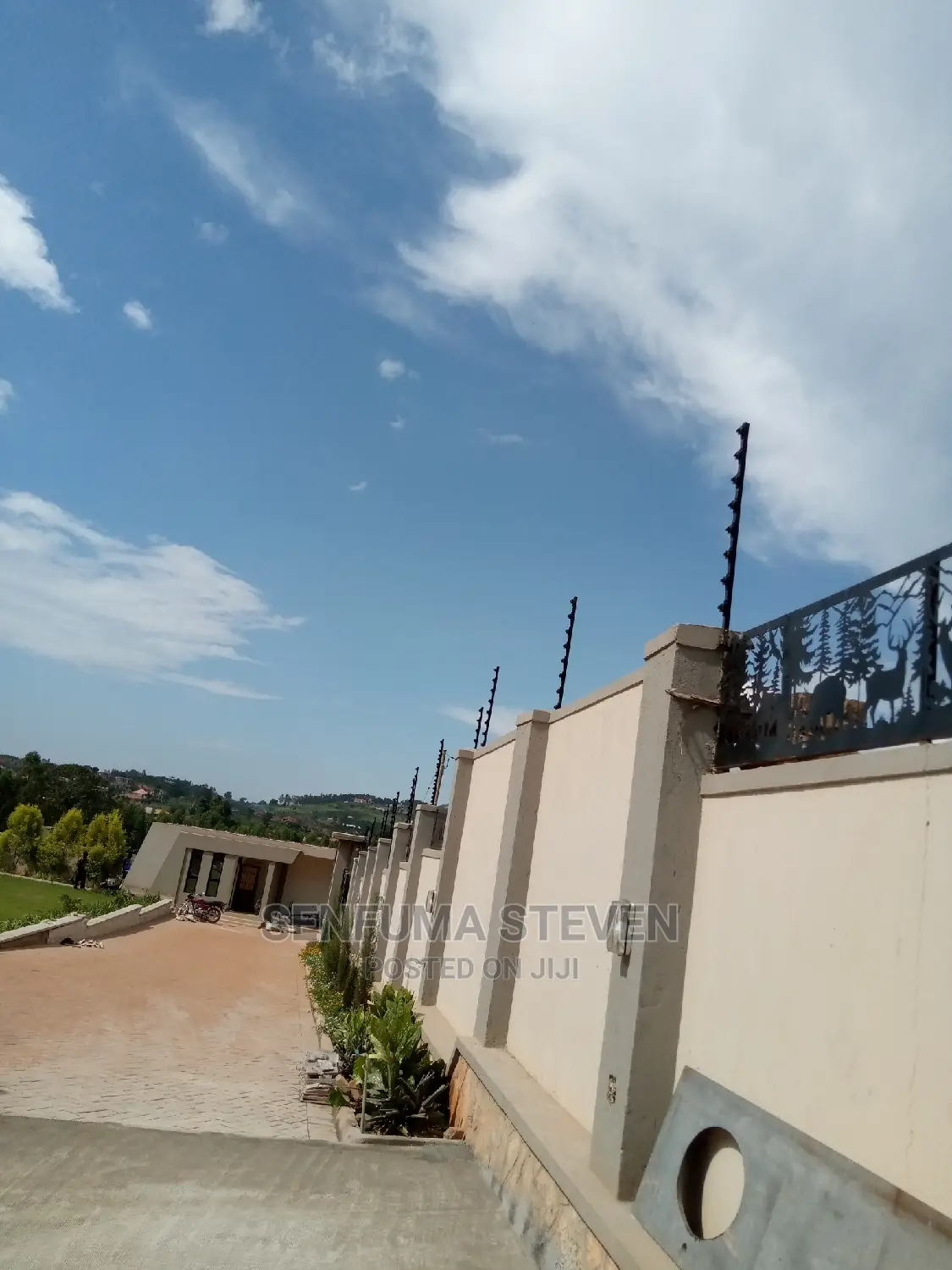 Electric Fence