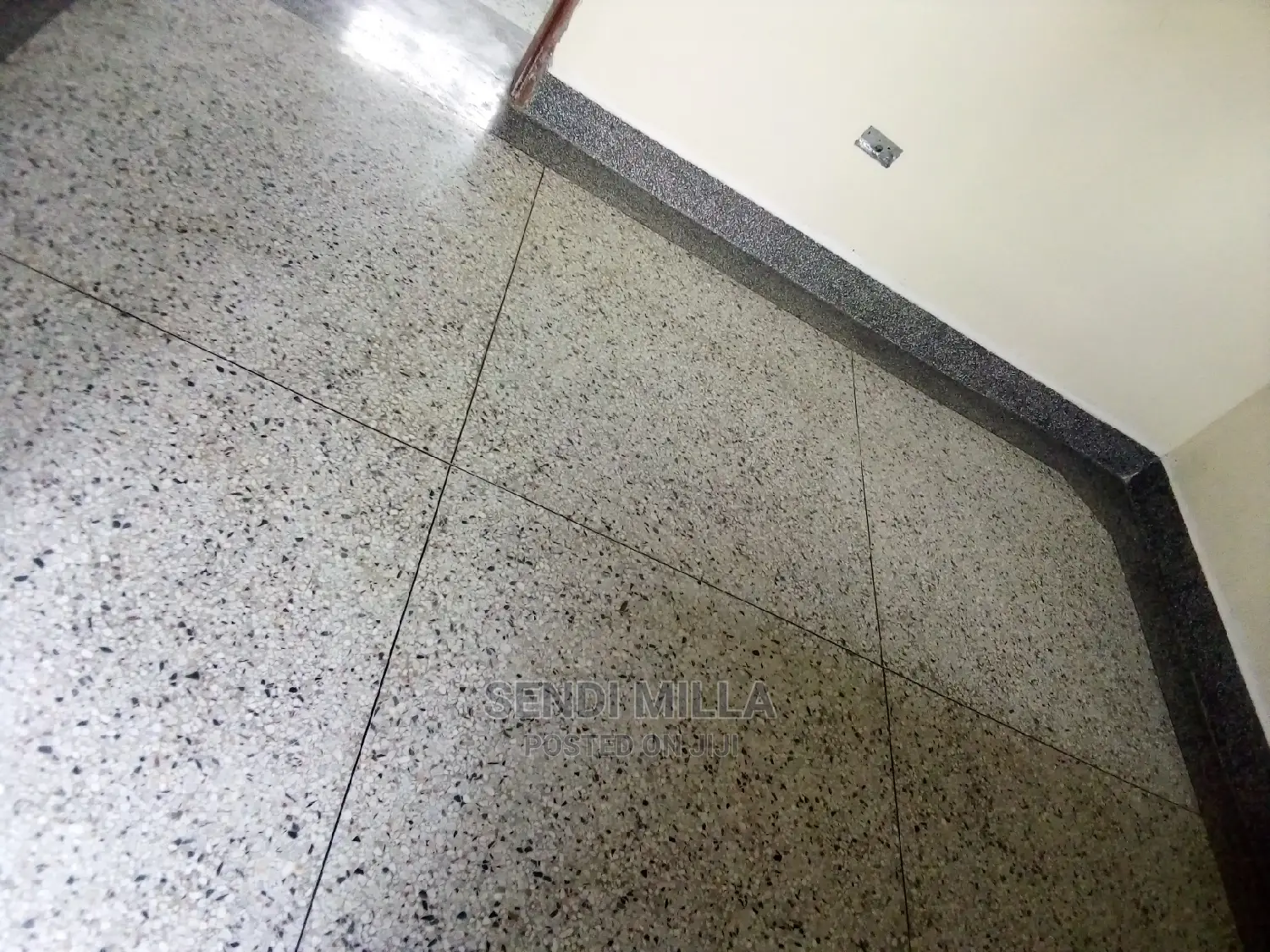 Terrazzo Floor