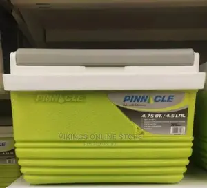 Pinnacle 4.5L Ice Cooler Box