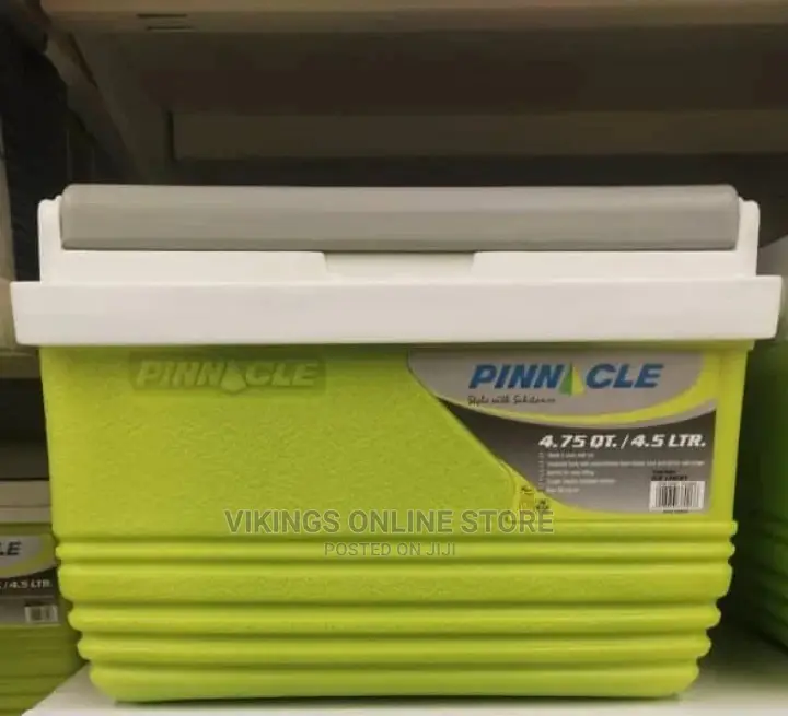Pinnacle 4.5L Ice Cooler Box