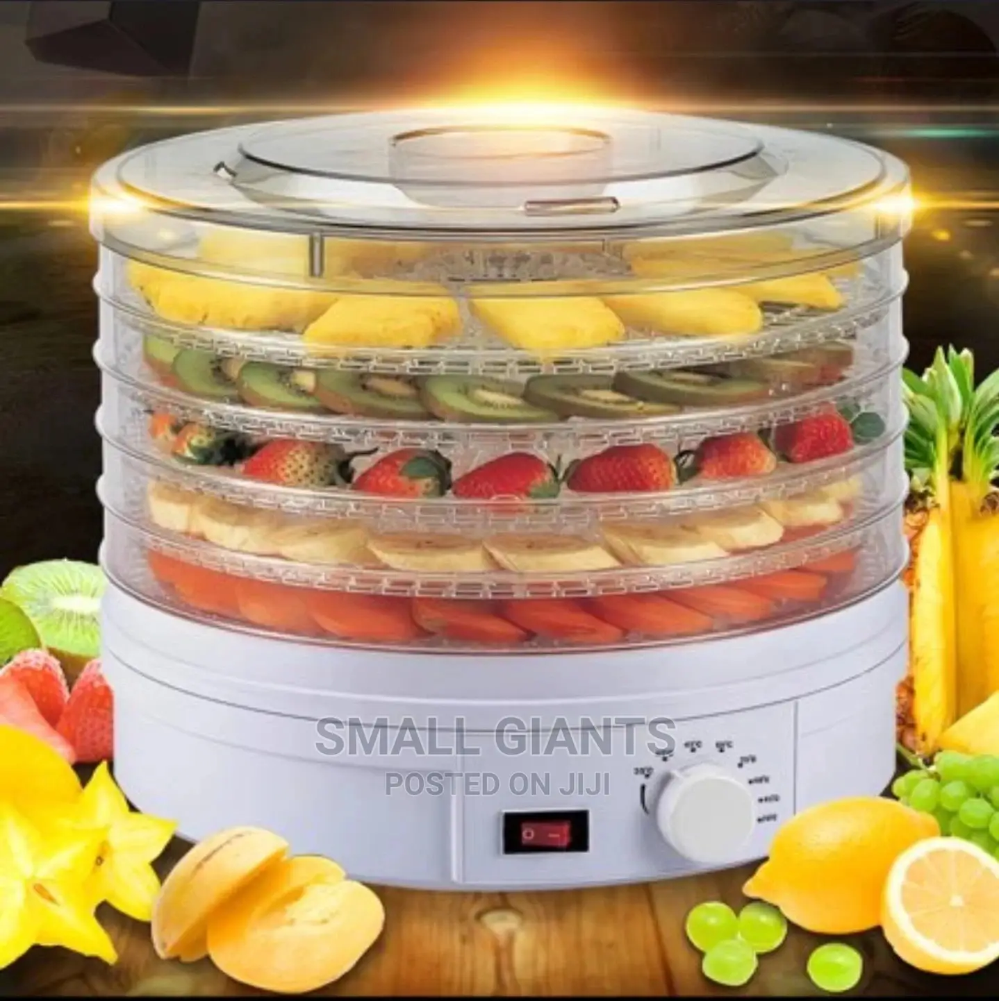 Electric Food Dehydrator