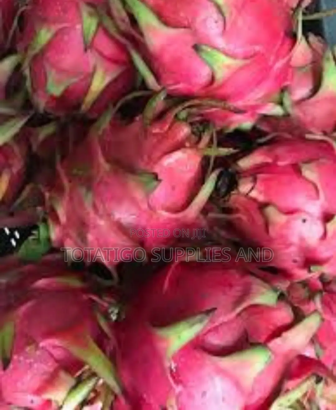 Fresh Imported Dragon Fruits-1pc