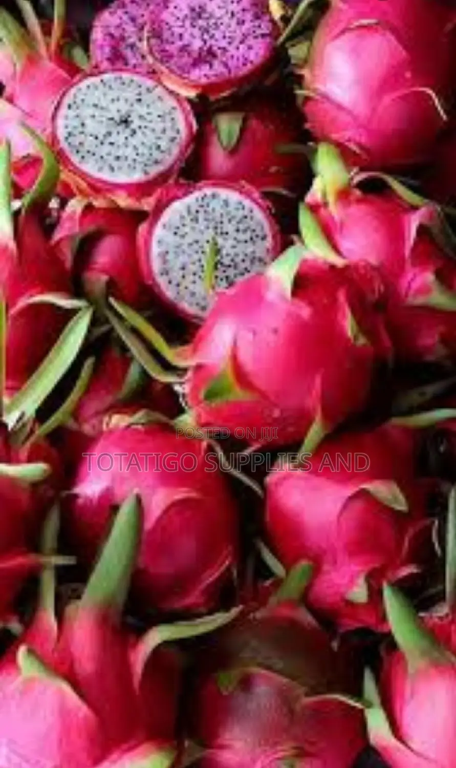 Fresh Imported Dragon Fruits-1pc