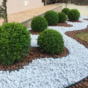 Pure White Stones/Rocks