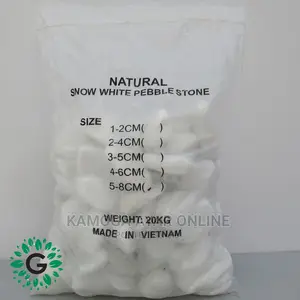 Beach White Stones