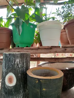 Concrete Pots,Plastic Planters, Customized Concrete Planters