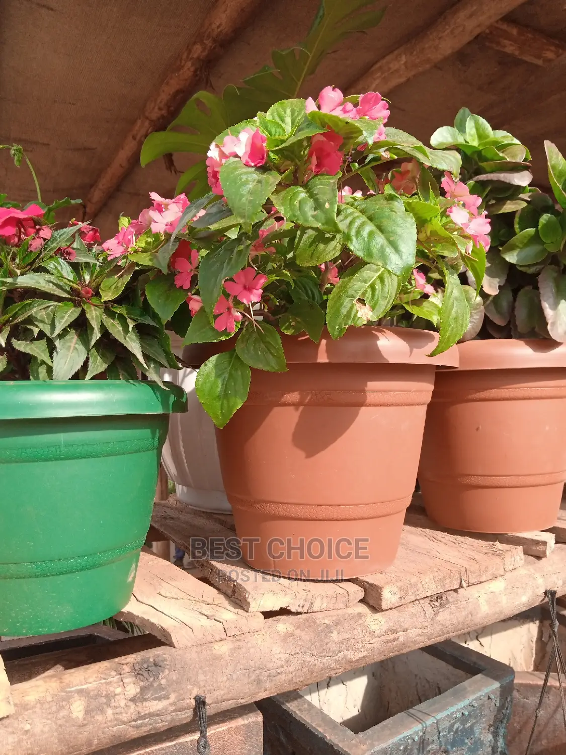 Concrete Pots,Plastic Planters, Customized Concrete Planters