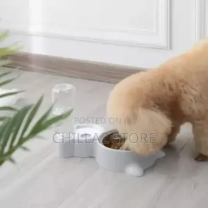Automatic Pet Feeder