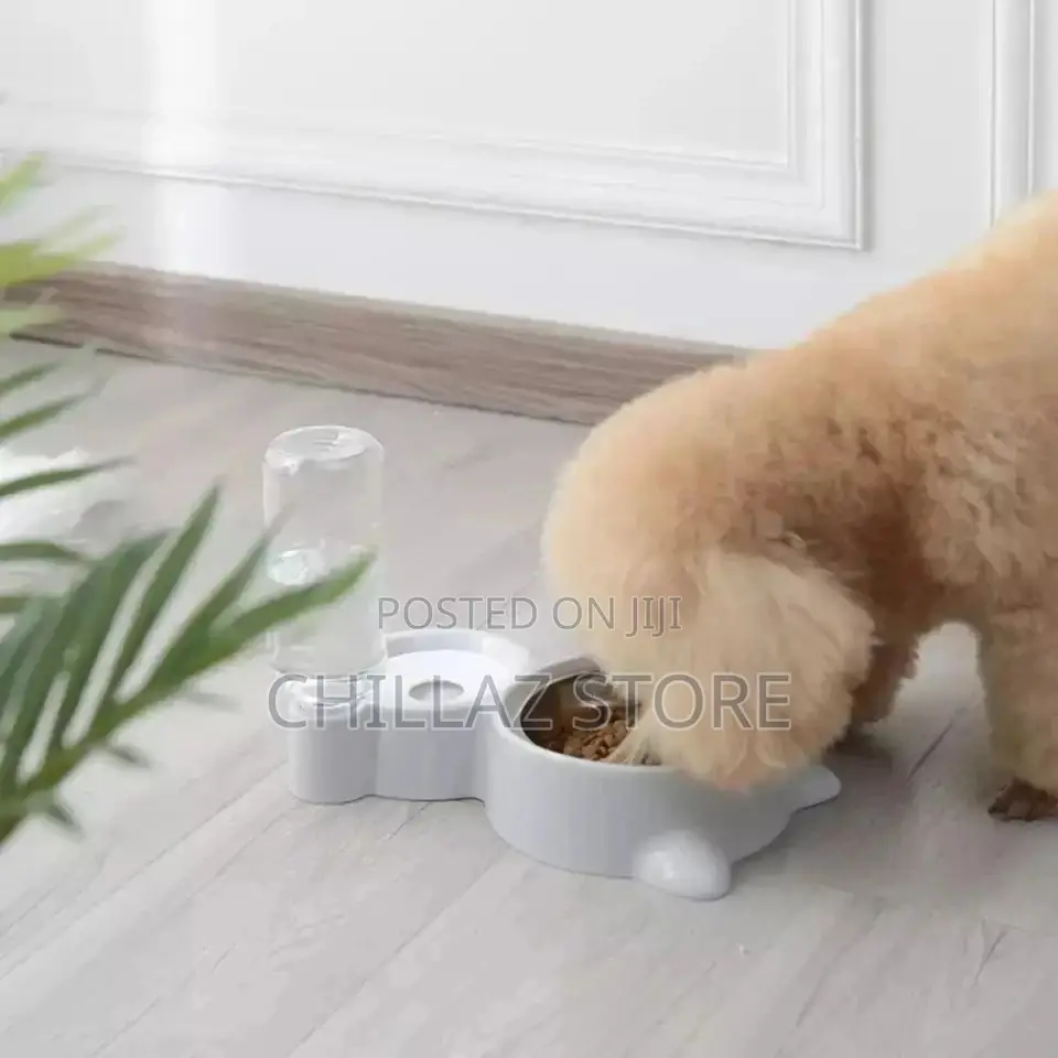 Automatic Pet Feeder