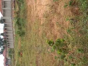 Cool Plot at Kira on Sell