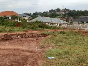 Kira Great Plot on Sell