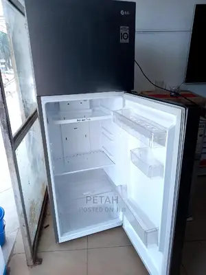 LG Led Frost Free 225L Double Door Refrigerator