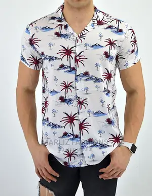 Casual Shirts