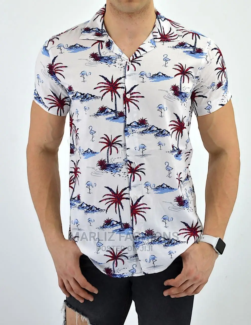 Casual Shirts