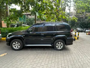 For Tours, Car Hire, and Field Work