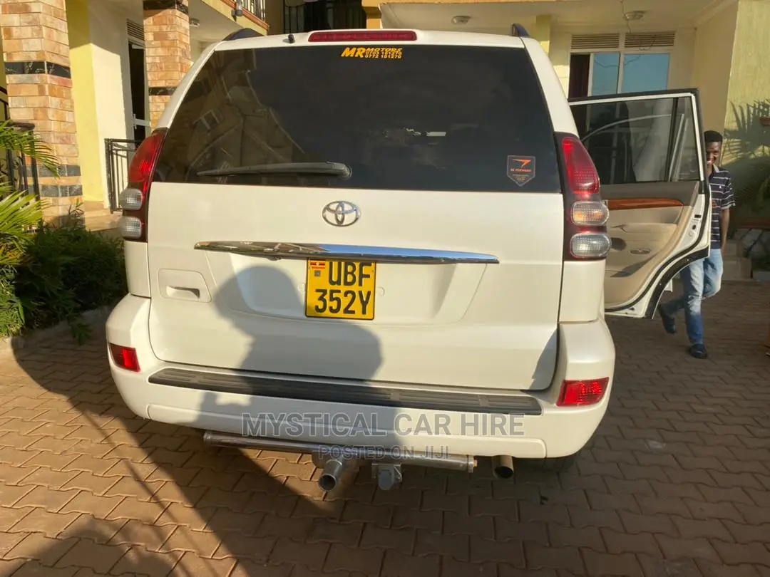 For Tours, Car Hire, and Field Work