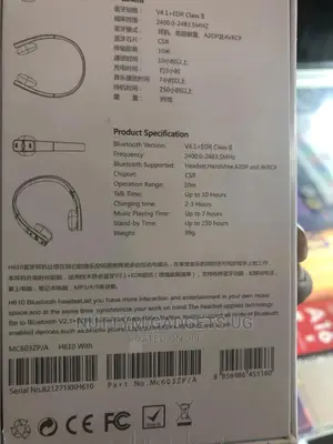 H610 Apple Headset