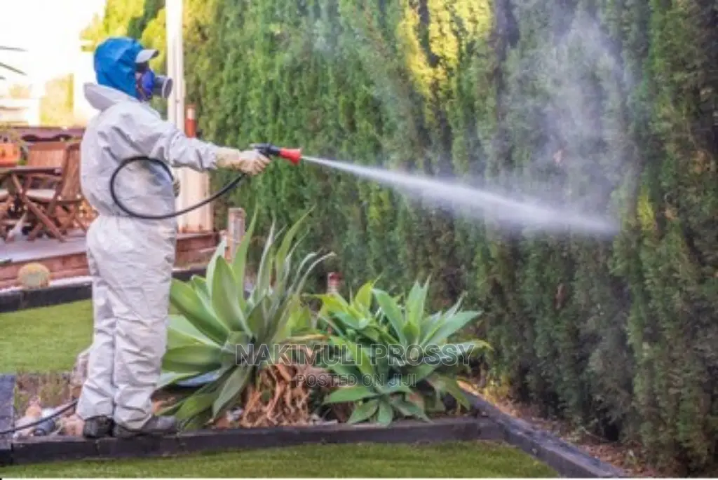 Compound Fumigation Services