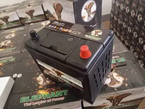 N50 Elephant Batteries.