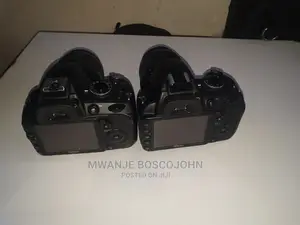 Nikon D3100