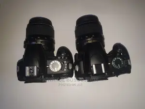 Nikon D3100