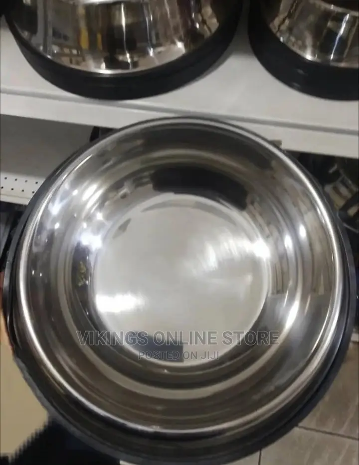 Pet/Dog Big Bowl