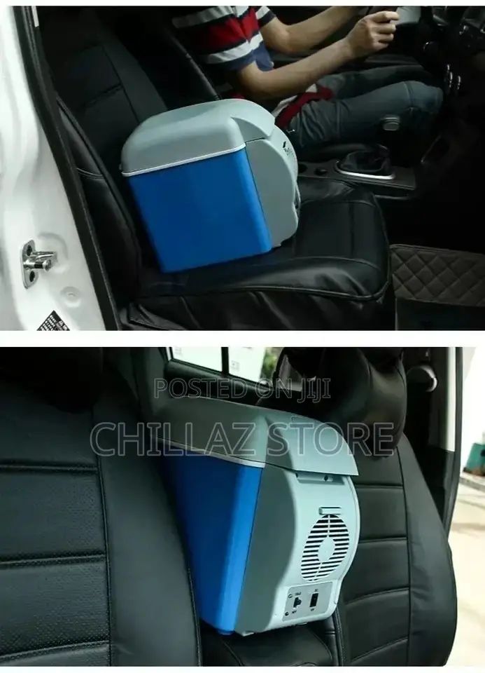 Mini Car Fridge