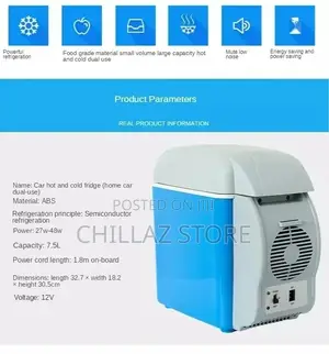 Mini Car Fridge