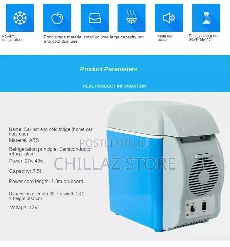Mini Car Fridge