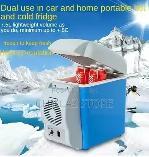 Mini Car Fridge