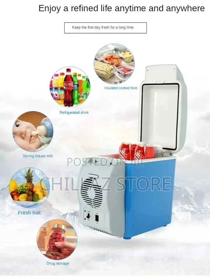 Mini Car Fridge