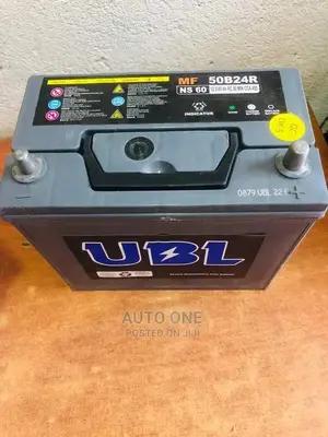 N60 Maintenance Free Ubl Batteries