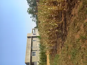 Kira Fantastic Land for Sell