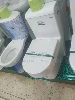 Executive Combined Toilet Liangdu Complete