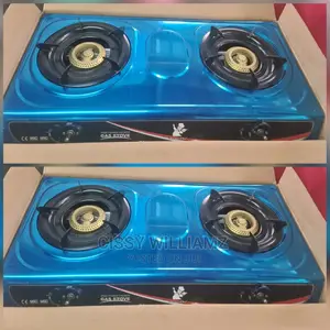 Stainless Double Gas Stove Plates/Gas Cooker/Gas Burner
