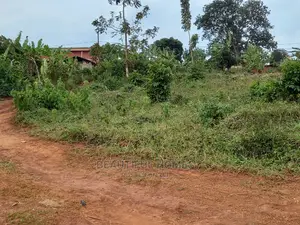 Beautiful Land in Nakwero for Sale