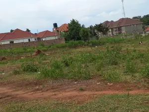 Nakwero Amazing Plot on Sale