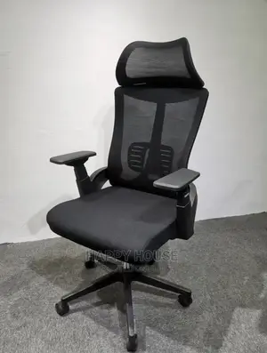Executive Office Mesh Chairs