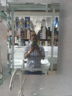 Executive Bathroom Beauty Mirrors