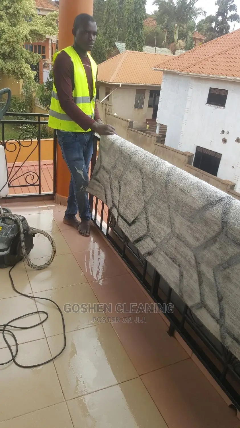 Home and Office Carpet Cleaners