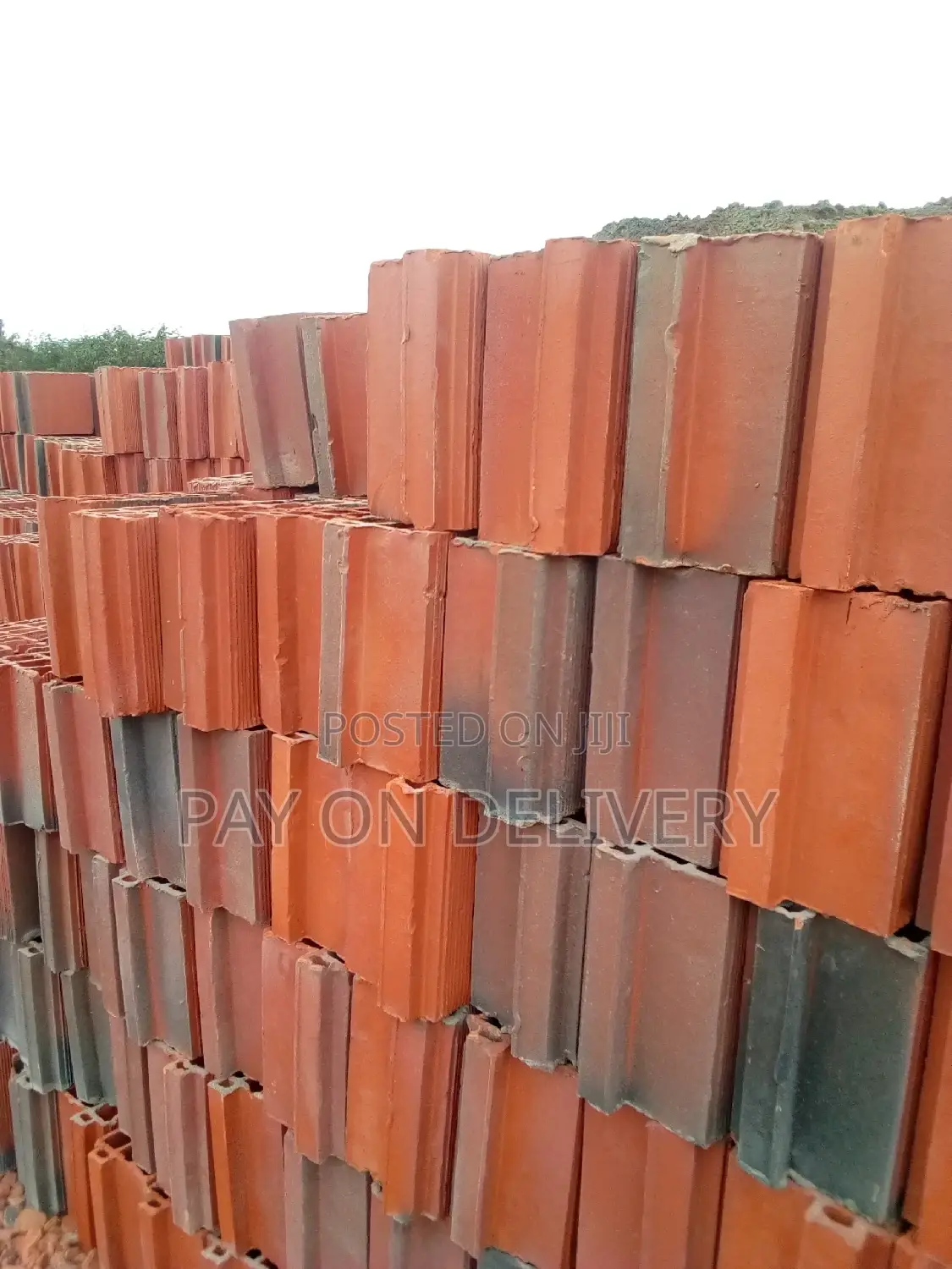 We Lead in Clay(Max Pans)