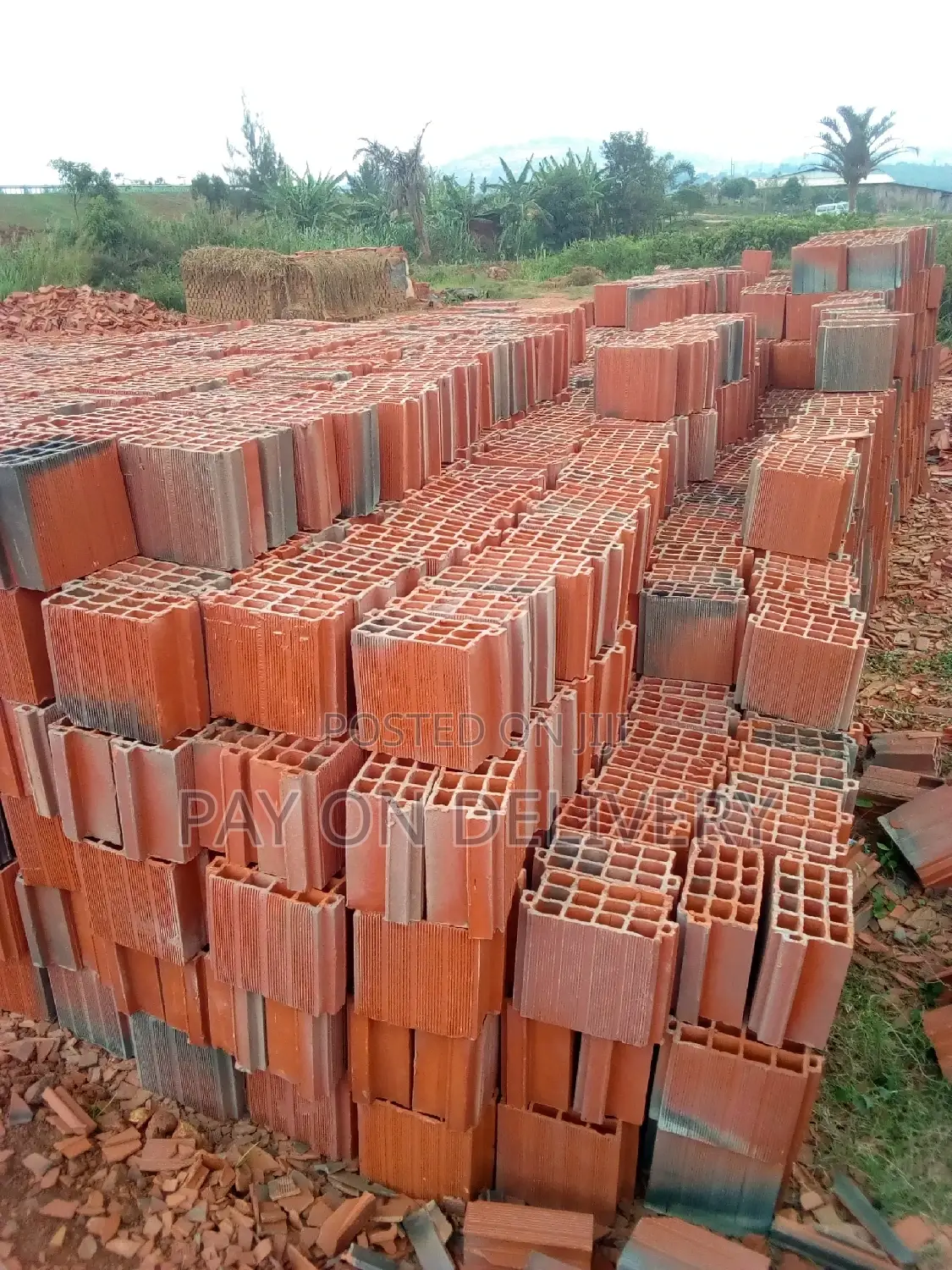 We Lead in Clay(Max Pans)