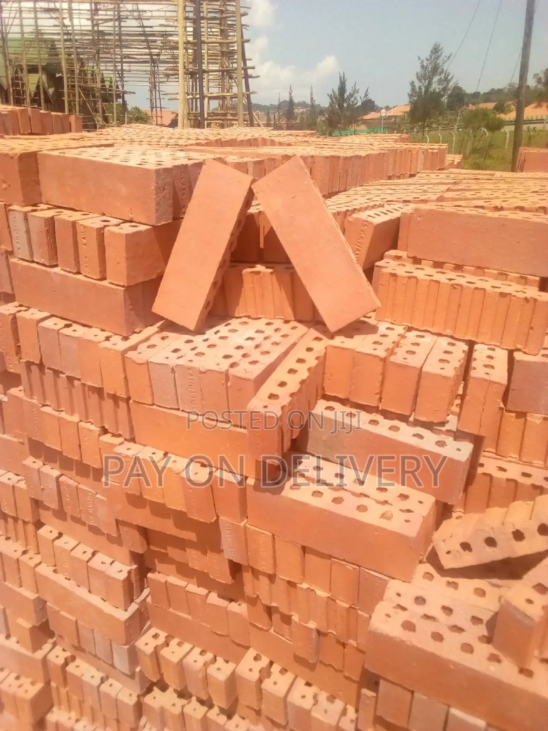 We Lead in the Sector (Half Bricks)
